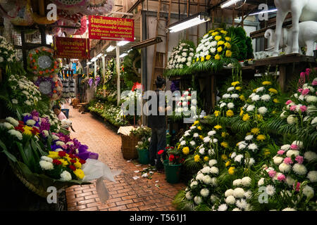 Th 1102 Thailand, Bangkok, Chakkraphet Rd, Pak Khlong Blumenmarkt, Verkaufsstände cut Chrysantheme Blumen Stockfoto