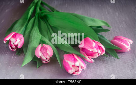 Schöne rosa Tulpen mit grünen Blättern auf der Tischfläche Stockfoto