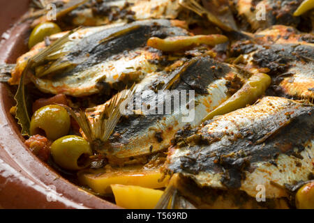 Traditionelle marokkanische Tajine mit Gefüllte Sardinen und Gemüse closeup Stockfoto