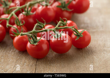 Weinstock mit süßen roten reifen Kirschtomaten auf einem Weinstock Stockfoto