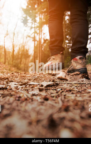 Beine von jemand zu Fuß auf Laub auf einem Pfad in den Wald Stockfoto