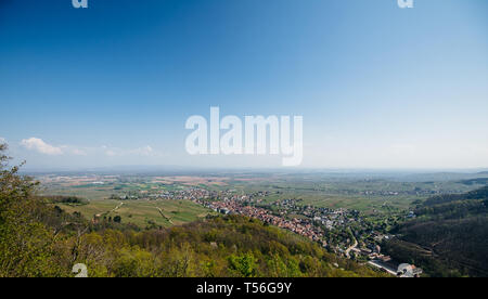 Antenne drone Blick über die colorfoul französische Stadt Ribeauville im Elsass mit kleinen Häusern, Kirchen, Traubenmost, Weinberge und Schwarzwald im Hintergrund Stockfoto