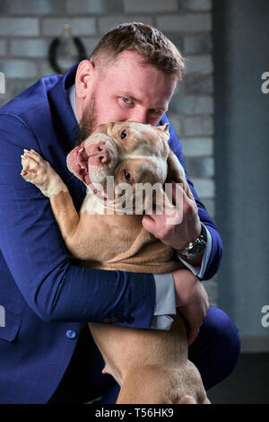 Hund Bulli und ihre Besitzer, ihre liebevolle Meister, der den Hund in ihren Armen, Umarmungen und Küsse hält. Der Hund fühlt sich gut auf die Hand des Besitzers Stockfoto