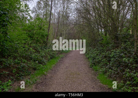 Feuchtgebiete Center - London Stockfoto