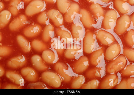 Gebackene Bohnen in Tomatensoße Hintergrundmuster Draufsicht Stockfoto