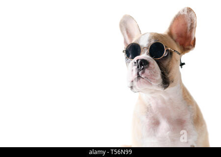 Süße französische Bulldogge tragen Sonnenbrille auf weißem Hintergrund, pet im Sommer Konzept Stockfoto