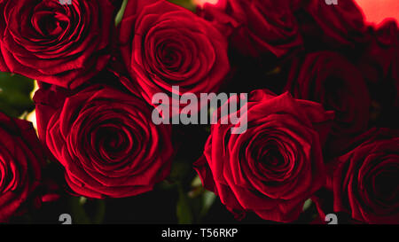 Rote Rosen Blumenstrauß mit freier Platz für Text. Selektiver Fokus Stockfoto