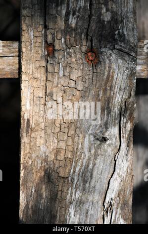 Rostige Nägel in einem alten texturierte Stück Holz. Stockfoto