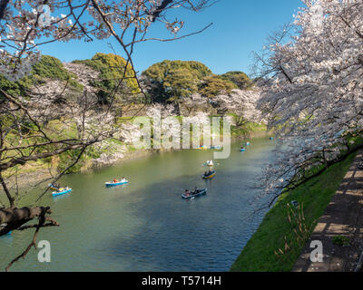 Chiyoda, Tokyo/Japan - 04 April 2019: See Schön in Chidorigafuchi, rund um die Hofburg und mit Hunderten von Sakura Bäumen, sehr nic Stockfoto