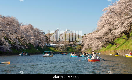 Chiyoda, Tokyo/Japan - 04 April 2019: See Schön in Chidorigafuchi, rund um die Hofburg und mit Hunderten von Sakura Bäumen, sehr nic Stockfoto