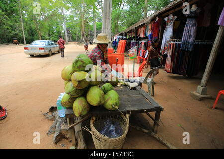 Lokale verkaufen die Frucht Getränk in Kambodscha Stockfoto