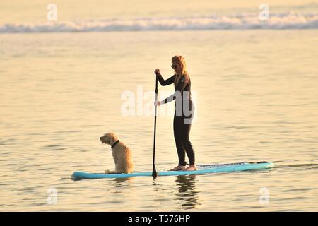 Aberystwyth, Wales, UK. 21. Apr 2019. Eine Frau paddleboarding mit ihrem Hund auf einem wunderbar warmen und sonnigen Ostersonntag Abend in Aberystwyth Wales als Land genießt die herrlich warmen Feiertag Wetter. Die Temperatur erreicht 23 Grad Celsius bei Trawsgoed nur im Inland von der Twin, so dass es die heißesten jemals Ostersonntag in Wales Credit: Keith Morris/Alamy Live News Credit: Keith Morris/Alamy leben Nachrichten Stockfoto