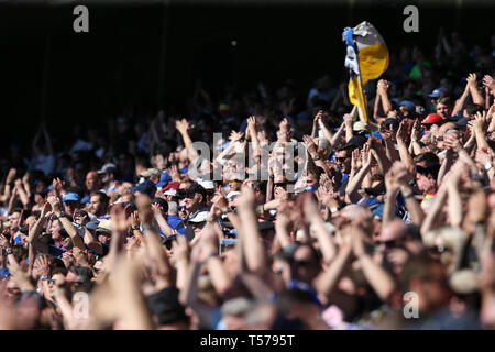 Cardiff, Großbritannien. 21 Apr, 2019. Cardiff City Fans. Premier League match, Cardiff City gegen Liverpool in Cardiff City Stadion am Sonntag, den 21. April 2019. Dieses Bild dürfen nur für redaktionelle Zwecke verwendet werden. Nur die redaktionelle Nutzung, eine Lizenz für die gewerbliche Nutzung erforderlich. Keine Verwendung in Wetten, Spiele oder einer einzelnen Verein/Liga/player Publikationen. pic von Andrew Obstgarten/Andrew Orchard sport Fotografie/Alamy Live news Credit: Andrew Orchard sport Fotografie/Alamy leben Nachrichten Stockfoto