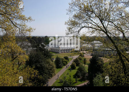 London, Großbritannien. 14 Apr, 2019. Foto am 14. April 2019 zeigt die gemäßigt Haus von Kew Gardens in London, der Hauptstadt Großbritanniens. Die Geschichte der Kew Gardens können aus dem 18. Jahrhundert zurückverfolgen. Im Jahr 2003, Kew Gardens wurde offiziell als UNESCO-Weltkulturerbe eingetragen. Credit: Han Yan/Xinhua/Alamy leben Nachrichten Stockfoto