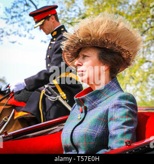 Hyde Park, London, UK, 22. April 2019. Die Princess Royal, Anne, in ihren Wagen. Die Mitglieder des Königs Truppen vor der Salute. Ein 41-runde Royal Gun Salute ist auf dem Exerzierplatz im Hyde Park abgefeuert, öffentlich zu der 93. Geburtstag von Herrn Majestät der Königin, Königin Elizabeth II. feiern. Die Salute ist am Mittag von der King's Troop Royal Horse artillery gefeuert. Geburtstag der Königin ist 21. April, sondern begrüßt sind Sonntags nicht gefeuert und statt am nächsten Tag, wenn das Datum auf einen Sonntag fällt. Credit: Imageplotter/Alamy leben Nachrichten Stockfoto