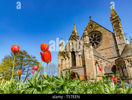 Edinburgh, Großbritannien. 22 Apr, 2019. Tulpen blühen vor dem Mansfield Traquair als Edinburgh in rekordverdächtigen Ostern sonnenschein Credit aalt sich: Rich Dyson/Alamy leben Nachrichten Stockfoto