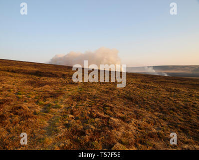 Marsden Moor Estate, Huddersfield, Großbritannien. 22. April 2019. Moorland Feuer in der Nähe von Wicking Grün auf Nähe Moos, eine in einer Reihe von Unseasonal Brände aufgrund der warmen, trockenen Wetter im Frühling. Credit: M Kyle/Alamy leben Nachrichten Stockfoto