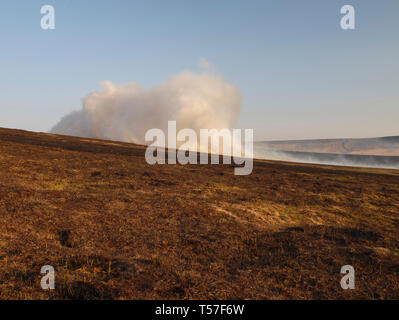 Marsden Moor Estate, Huddersfield, Großbritannien. 22. April 2019. Moorland Feuer in der Nähe von Wicking Grün auf Nähe Moos, eine in einer Reihe von Unseasonal Brände aufgrund der warmen, trockenen Wetter im Frühling. Credit: M Kyle/Alamy leben Nachrichten Stockfoto