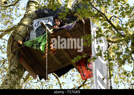 London, Greater London, UK. 20 Apr, 2019. Ein Aktivist wird gesehen, Camping auf einem Baum an Marble Arch während des Protestes. Klimawandel Aktivistinnen aus dem Aussterben Rebellion am Marble Arch in London sind, wo alle ihre Aktivitäten wie Musik, Artwork und Klassen statt, nachdem Polizisten lagerten gelöscht Seiten am Oxford Circus, Waterloo Bridge und Parliament Square vor dem Aussterben Rebellion Demonstranten. Aussterben Rebellion fordert die Regierung für die direkten Aktionen auf das Klima und CO2-Emissionen auf Null zu reduzieren und bis 2025 auch des Menschen als Stockfoto