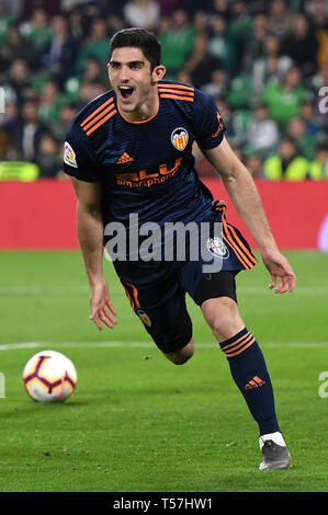 SEVILLA, 21-04-2019. Primera Division Liga. LaLiga. Estadio Benito Villamarin. Goncalo Guedes (Valencia CF) während des Spiels Real Betis - Valencia CF. Stockfoto