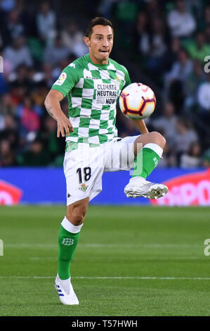 SEVILLA, 21-04-2019. Primera Division Liga. LaLiga. Estadio Benito Villamarin. Andres Guardado (Real Betis) während des Spiels Real Betis - Valencia CF. Stockfoto