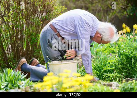 Ältere ältere Person aktiven Lebensstil im Garten während der farbenfrohen Frühling Sonne und Sommer Temperatur Stockfoto