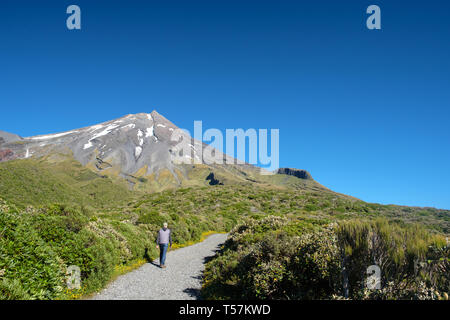 Menschen wandern in Mount Taranaki, Egmont National Park, in der Nähe von Stratford, Westküste von North Island, Neuseeland Stockfoto