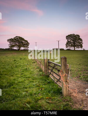 Grüne Hügel auf Bäume bei Sonnenuntergang mit Holz- tor im Vordergrund. Stockfoto