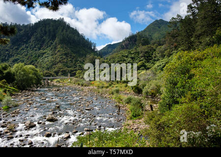 Karangahake Gorge Recreation Pfad auf dem Ohinemuri River, in der Nähe von Waihi, Bay of Plenty, North Island, Neuseeland Stockfoto