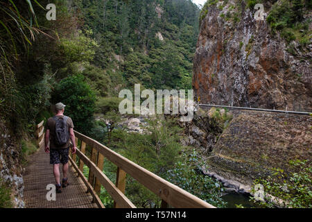 Wanderer zu Fuß entlang Karangahake Gorge Recreation Pfad auf dem Ohinemuri River, in der Nähe von Waihi, Bay of Plenty, North Island, Neuseeland Stockfoto