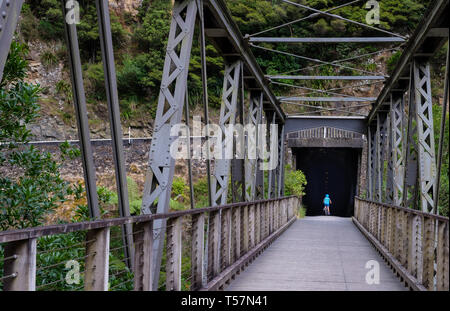 Karangahake Gorge Recreation Path und Rail Tunnel auf der Ohinemuri River, in der Nähe von Waihi, Bay of Plenty, North Island, Neuseeland Stockfoto