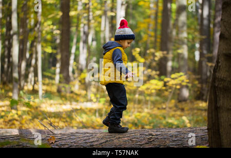 Ein kleiner Junge in einer Kappe geht auf ein Gleichgewicht im Herbst Park Stockfoto