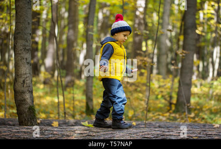 Ein kleiner Junge in einer Kappe geht auf ein Gleichgewicht im Herbst Park Stockfoto