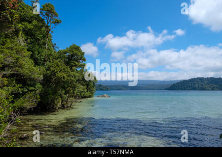 Lake Waikareiti zu Te Urewera, Hawkes Bay Region, North Island, Neuseeland Stockfoto