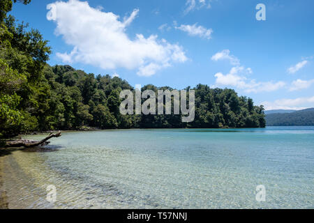 Lake Waikareiti zu Te Urewera, Hawkes Bay Region, North Island, Neuseeland Stockfoto