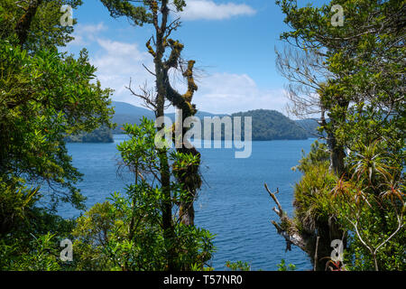 Lake Waikareiti zu Te Urewera, Hawkes Bay Region, North Island, Neuseeland Stockfoto