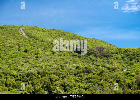 Predator Zaun in Zealandia, ein naturschutzprojekt und Attraktion ist der weltweit erste komplett eingezäunt Urban ecosanctuary von 225 HA, Wellington, New Ze Stockfoto