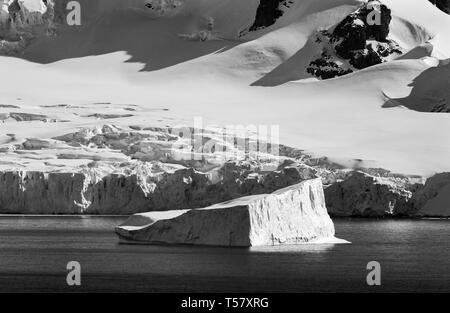 Ein schwimmender Eisberg in der Antarktis. Stockfoto