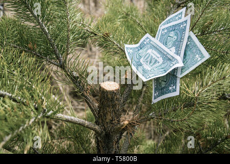 Schäden an der Natur. Fein für gesägte Holz. Dollarscheine - große Dummies Stockfoto