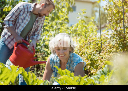 Ältere Frau und Ihren Sohn im Garten arbeiten Stockfoto