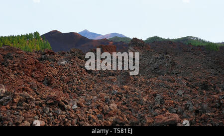 Vulkanische Boden von chinyero Spezielle Naturpark mit Pico del Teide im Hintergrund, eine Lava Gebiet mit wenig Vegetation, Teneriffa, Spanien Stockfoto