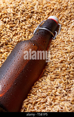 Bier Flasche auf dem Bier Gerste Stockfoto