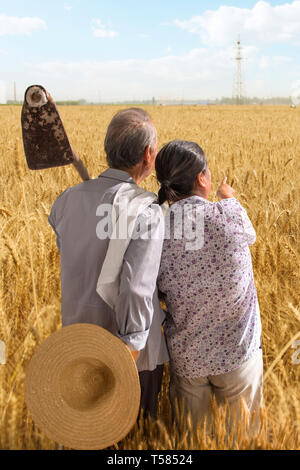 Ältere Paare im Weizenfeld Stockfoto