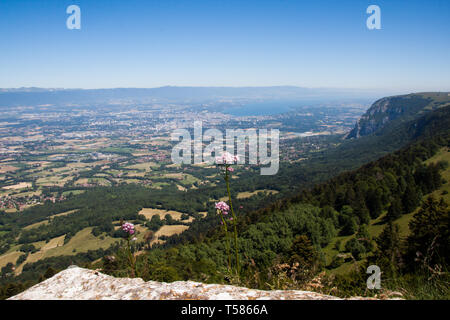 Höhe Panorama über den Genfer See und die französischen Haute Savoie Tal an einem sonnigen Sommertag Stockfoto