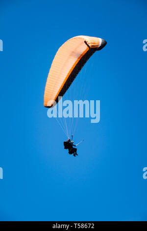 Gleitschirm Ausbilder fliegen mit Kunden in blauem Himmel Stockfoto