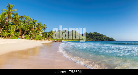 Panoramablick auf sonnigen Strand mit Palmen und türkisfarbenes Meer. Stockfoto