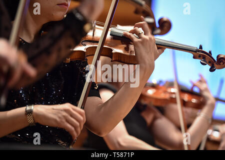 Violine Spieler Hand Detail während Philharmonic Orchestra Performance Stockfoto