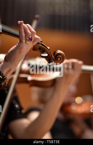 Violine Spieler Hand Detail während Philharmonic Orchestra Performance Stockfoto