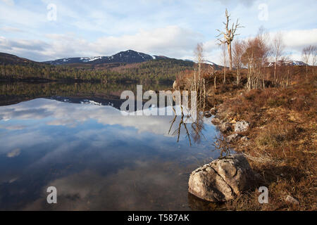 Loch Beinn a 'Mheadhoin mit Schnee bedeckte Berge über Glen Affric National Nature Reserve Highland Region Schottland Großbritannien April 2015 Stockfoto