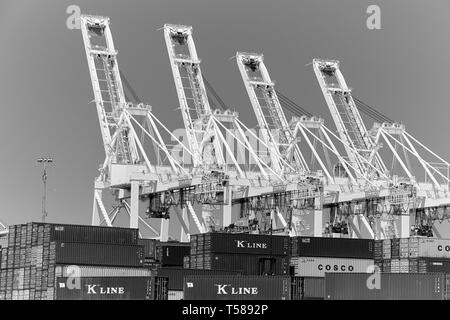 Schwarz-weiß-Foto von gestapelten 45 Fuß Transportcontainern und erhöhten Container Gantry Cranes am Long Beach Container Terminal, Kalifornien, USA. Stockfoto